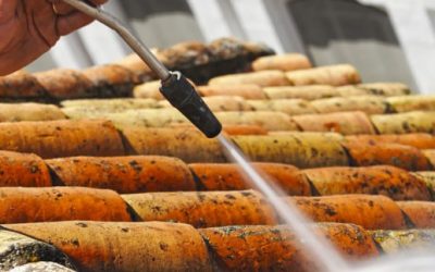 7 tareas de mantenimiento del hogar recomendadas en verano