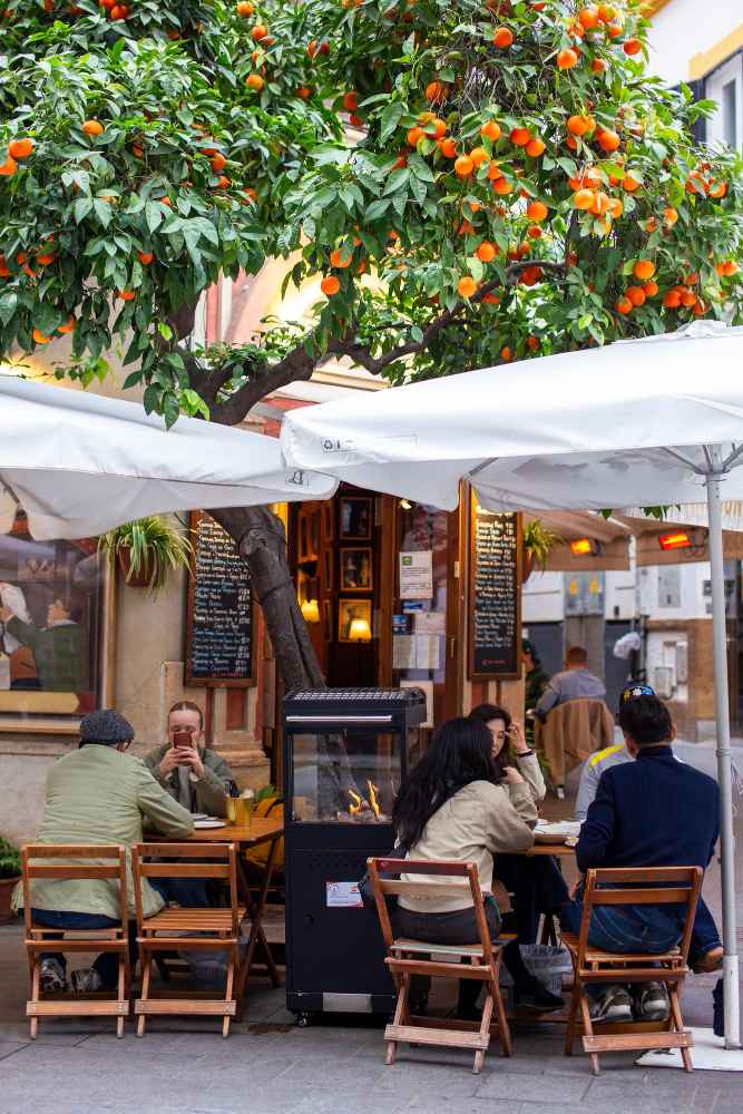 Locales en alquiler en Sevilla